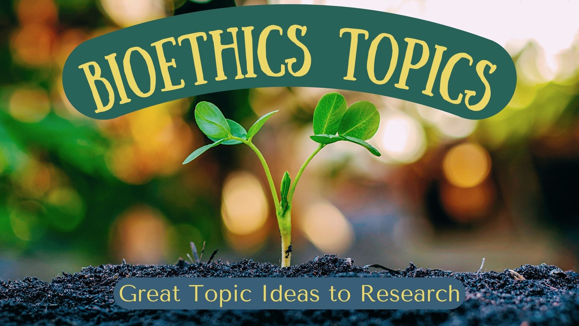 Bioethics Topics For Your Research Paper Or Thesis
